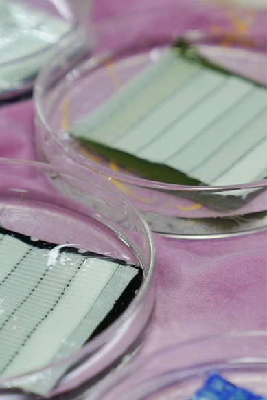 Nantong Tianhong Tecket Technology Co., Ltd.