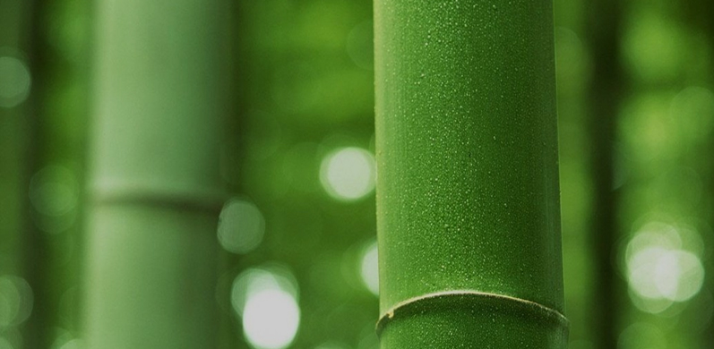 Nantong Tianhong Tecket Technology Co., Ltd.